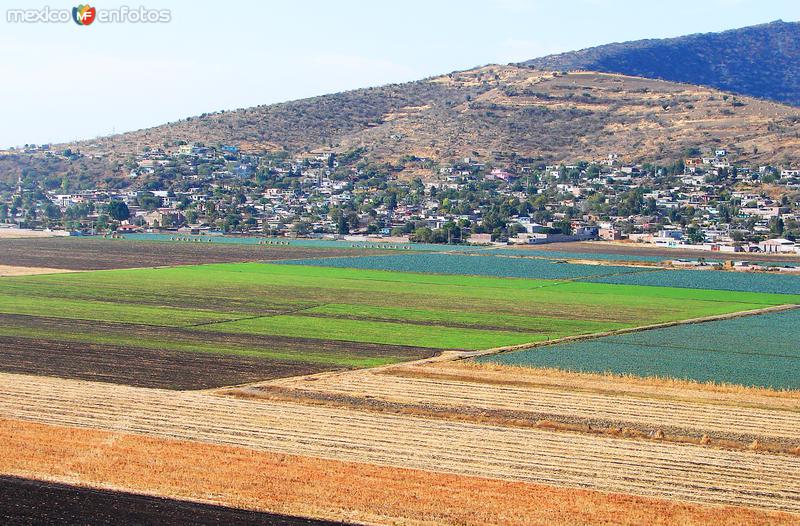 Fotos de Valle De Santiago, Guanajuato: Campos