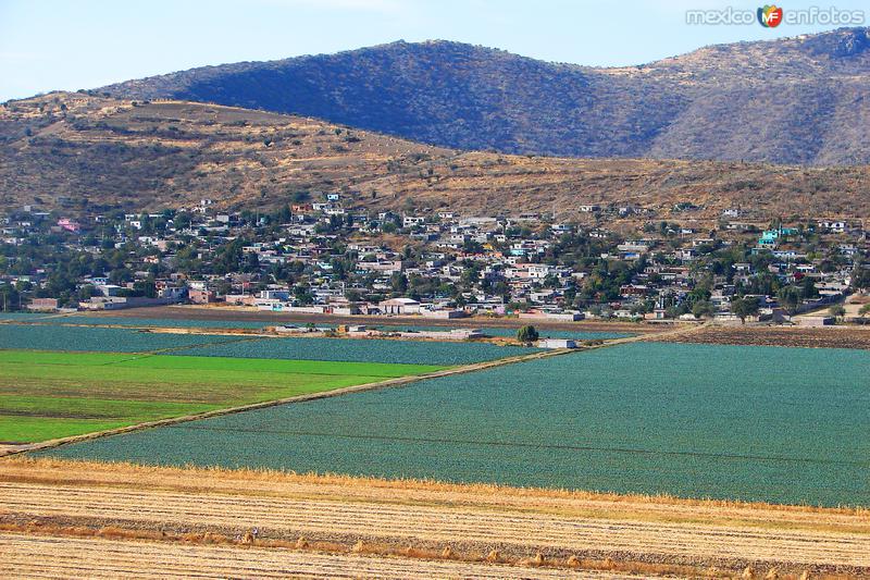 Fotos de Valle De Santiago, Guanajuato: Campos