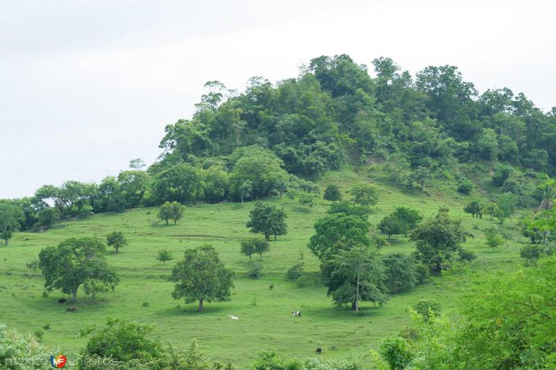 Fotos de Papantla, Veracruz: PAISAJES ENTRE TAJIN Y PAPANTLA, VER. MEX.