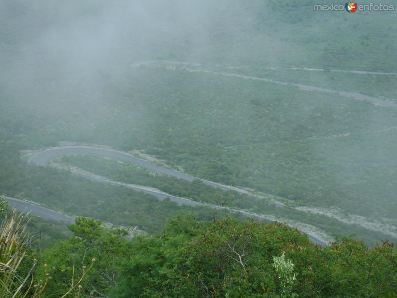 Fotos de Bustamante, Tamaulipas: MARAVILLA NATURAL