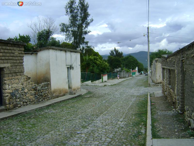 Fotos de Bustamante, Tamaulipas: CALLE DE BUSTAMANTE