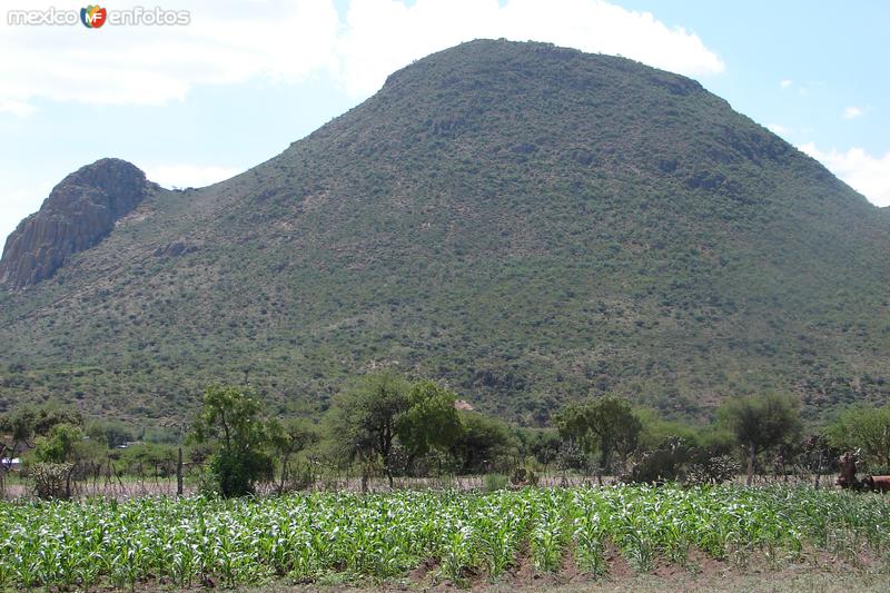 Fotos de Santa María Del Río, San Luis Potosí: Cerro de la Tortuga