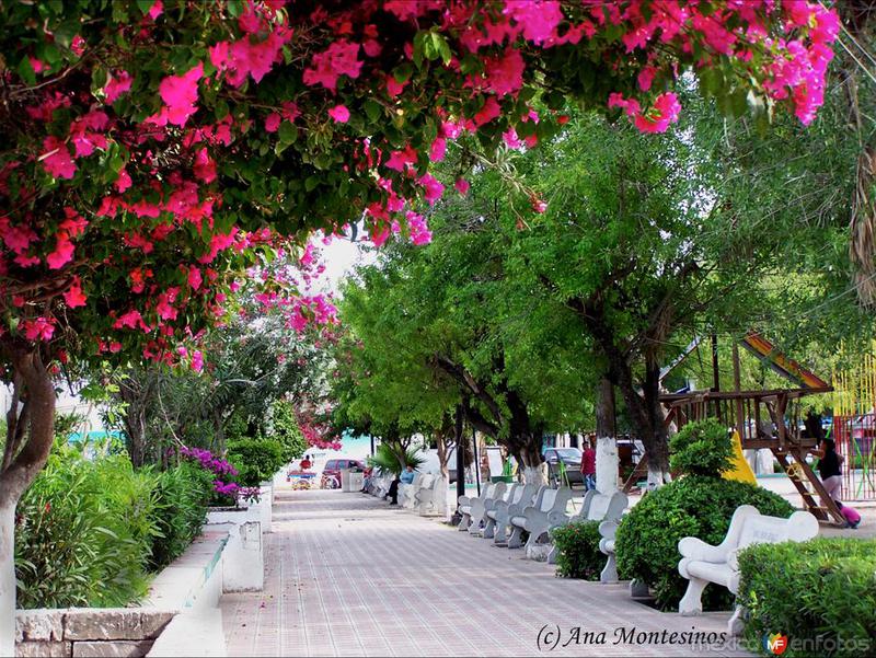 Fotos de Miguel Alemán, Tamaulipas: Plaza de Miguel Alemàn