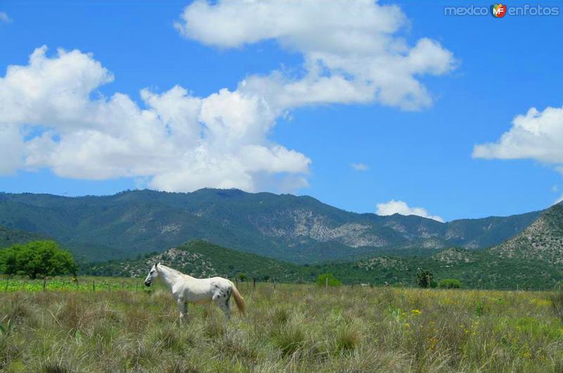 Fotos de Galeana, Nuevo León: Paisajes de Galeana