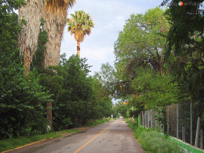 Fotos de San Francisco De Conchos, Chihuahua: Calles y caminos de San Francisco de Conchos