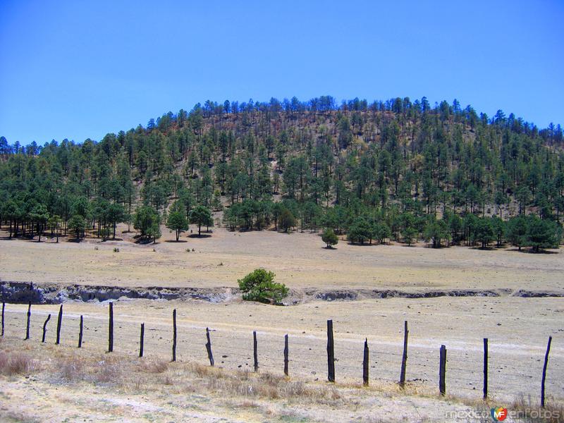 Fotos de Sierra Madre Occidental, Durango: Sierra Madre Occidental