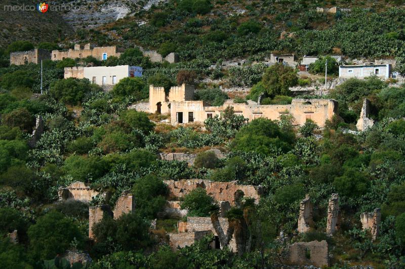 Fotos de Real De Catorce, San Luis Potosí: CAMINO A REAL DE CATORCE