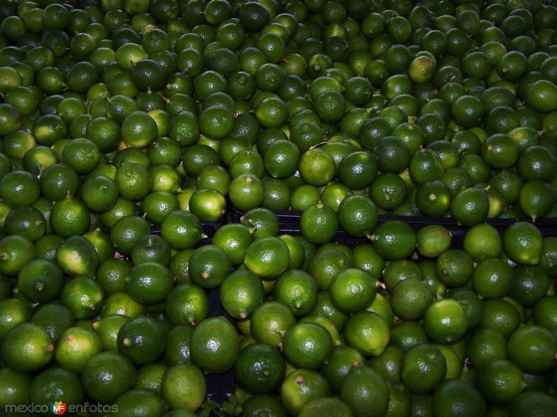 Fotos de Miguel Alemán, Tamaulipas: Limones