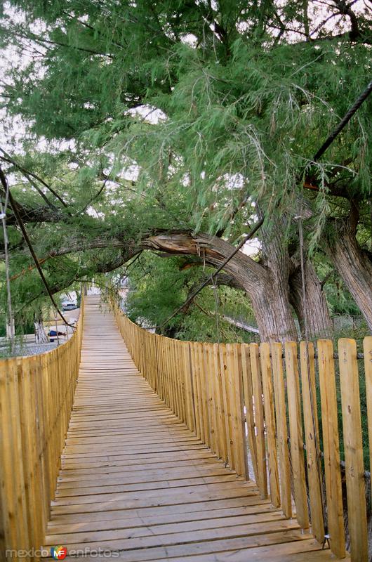 Fotos de Hualahuises, Nuevo León: PUENTE COLGANTE NUEVO