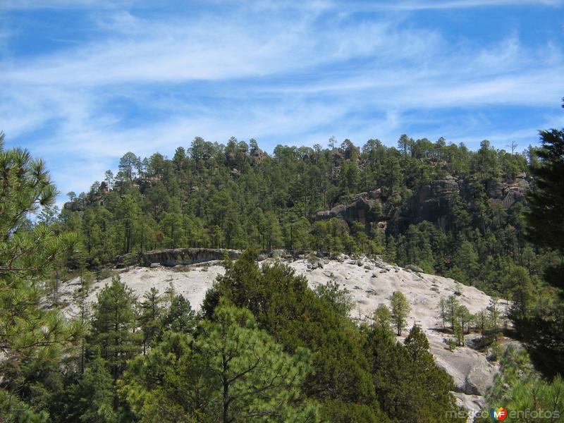 Fotos de Cusárare, Chihuahua: Paisajes de Cusárare