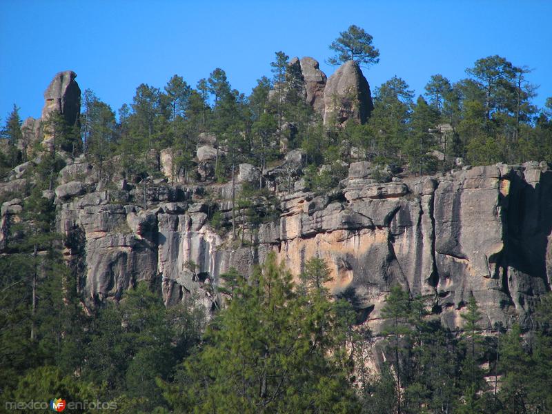 Fotos de Cusárare, Chihuahua: Paisajes de Cusárare