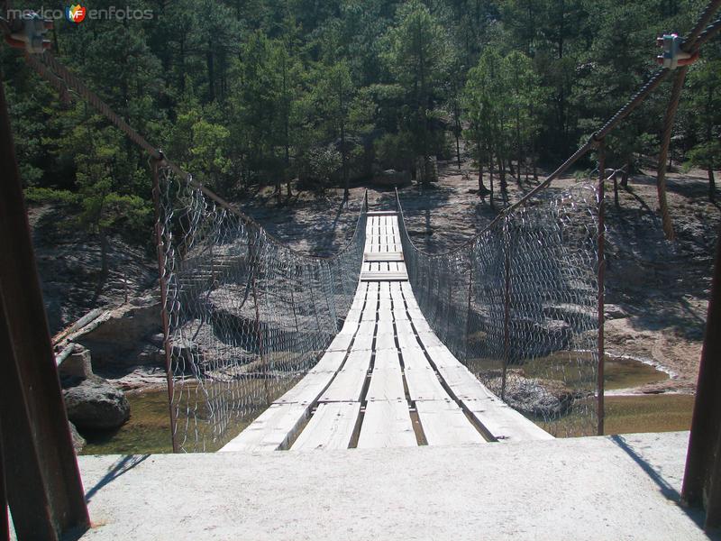 Fotos de Cusárare, Chihuahua: Puente colgante