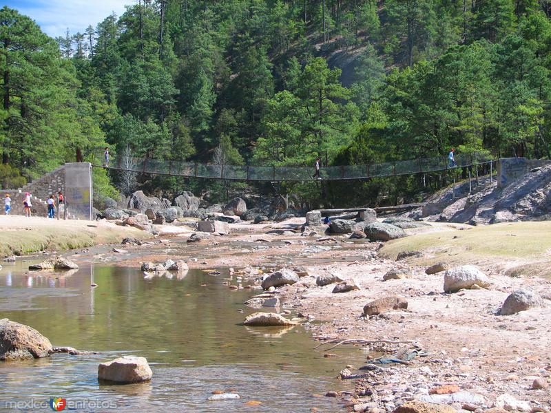 Fotos de Cusárare, Chihuahua: Puente colgante