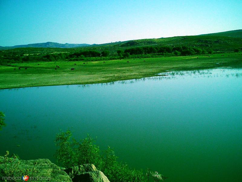 Fotos de Los Campos, Aguascalientes: Presa de Montoro