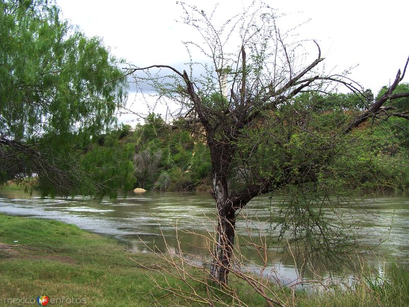 Fotos de Miguel Alemán, Tamaulipas: Rio Bravo