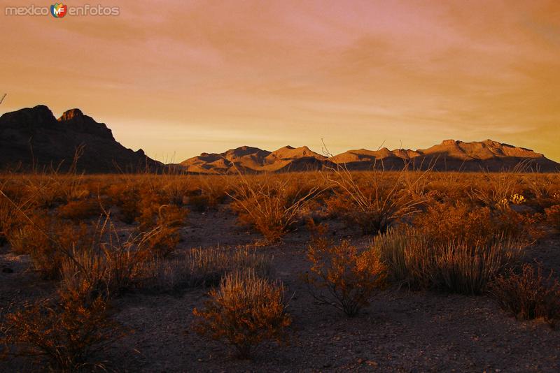 Fotos de Mapimí, Durango: Una noche en el desierto