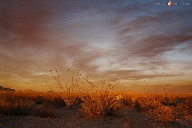 Fotos de Mapimí, Durango: Atardecer en Mapimí