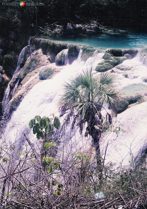 Fotos de El Naranjo, San Luis Potosí: La Cascadita, Huasteca Potosina