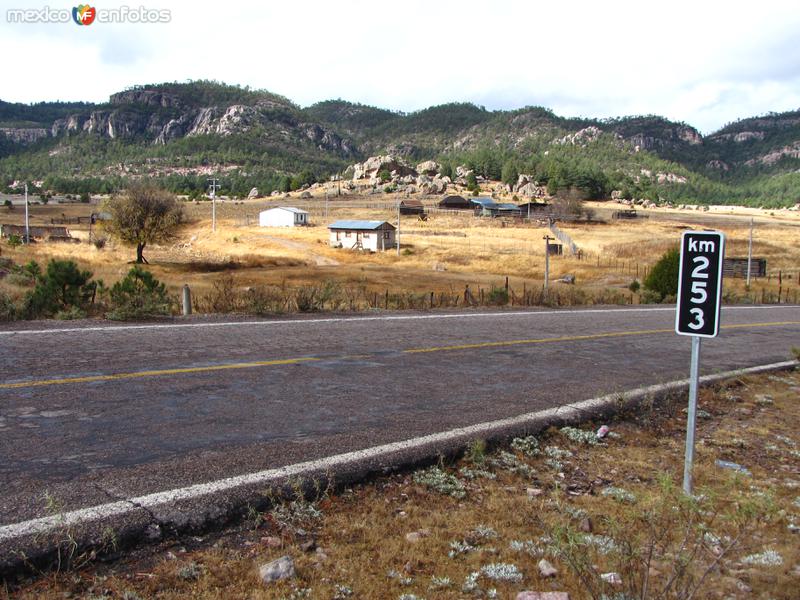 Fotos de Sierra Tarahumara, Chihuahua: Carretera Chihuahua - Hermosillo