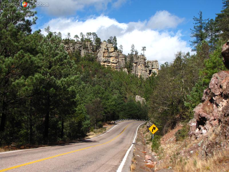 Fotos de Sierra Tarahumara, Chihuahua: Carretera Chihuahua - Hermosillo