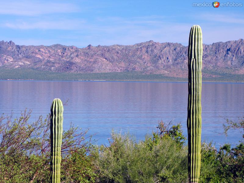 Fotos de Bahía Concepción, Baja California Sur: Bahía Concepción