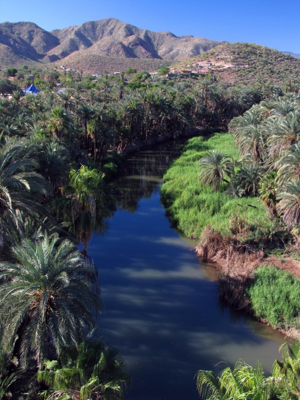 Fotos de Mulegé, Baja California Sur: Río Mulegé