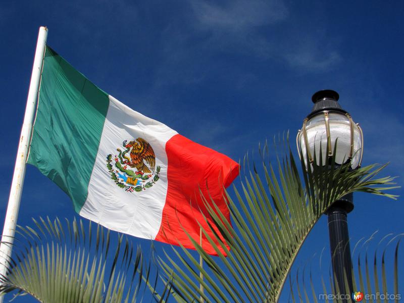 Fotos de San José Del Cabo, Baja California Sur: Bandera nacional mexicana