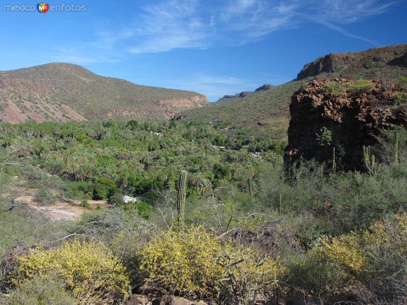 Fotos de San José De Comondú, Baja California Sur: Oasis en la Sierra de la Giganta