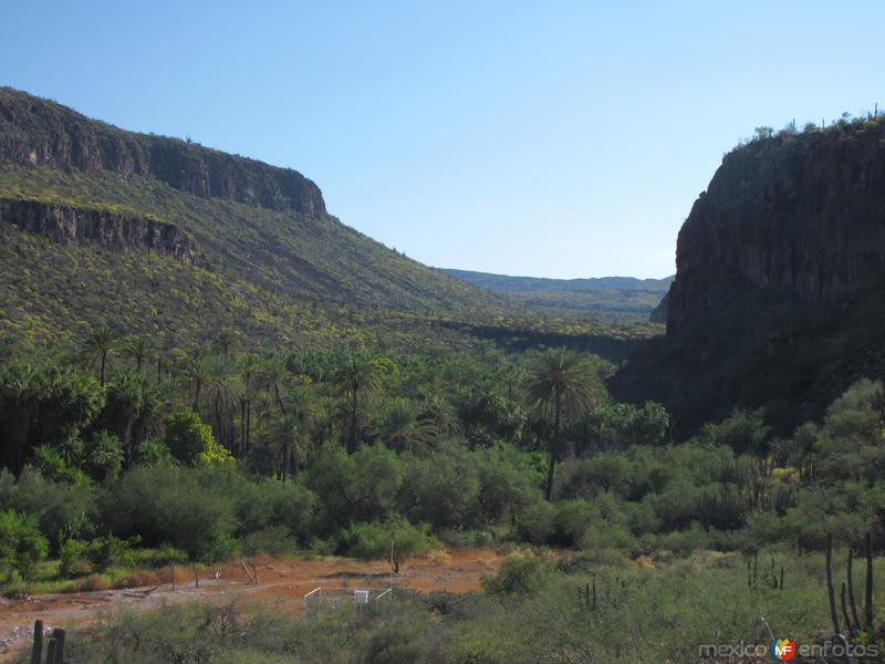 Fotos de San José De Comondú, Baja California Sur: Oasis en la Sierra de la Giganta