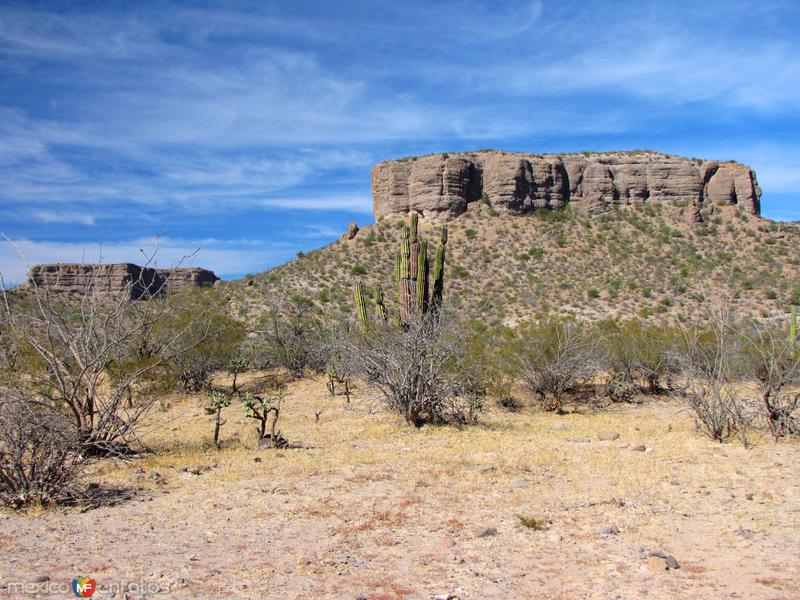 Fotos de San José De Comondú, Baja California Sur: Sierra de la Giganta