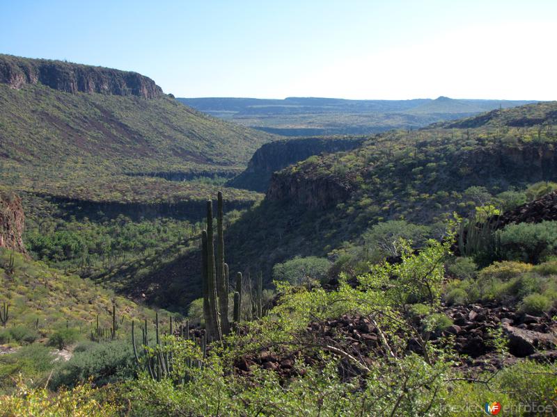 Fotos de San José De Comondú, Baja California Sur: Sierra de la Giganta