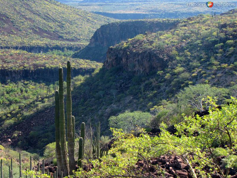 Fotos de San José De Comondú, Baja California Sur: Sierra de la Giganta