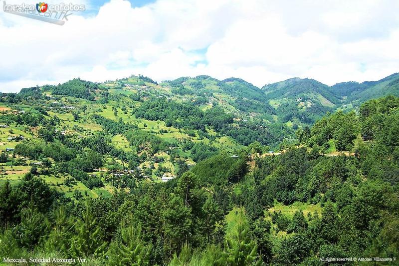 Fotos de Soledad Atzompa, Veracruz: Paisaje ocotero