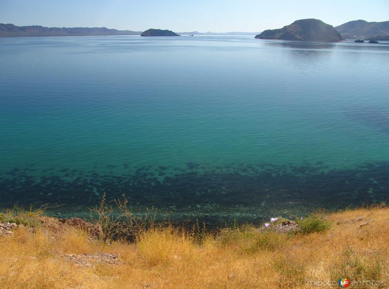 Fotos de Bahía Concepción, Baja California Sur: Bahía Concepción