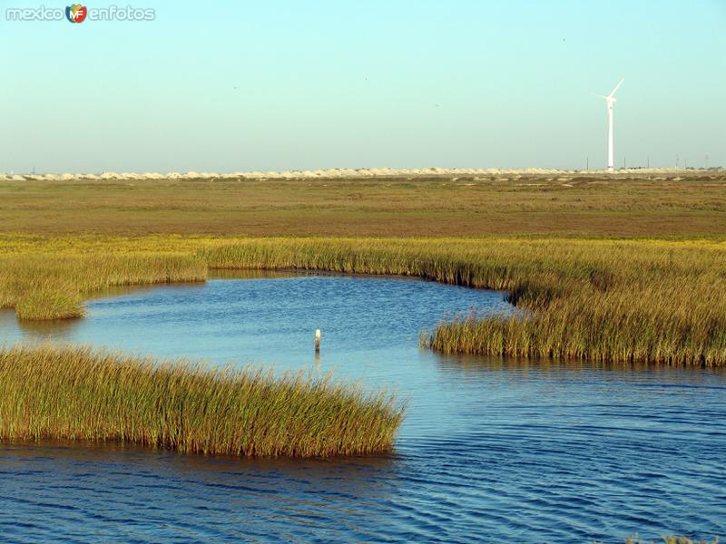 Fotos de Guerrero Negro, Baja California Sur: Marismas