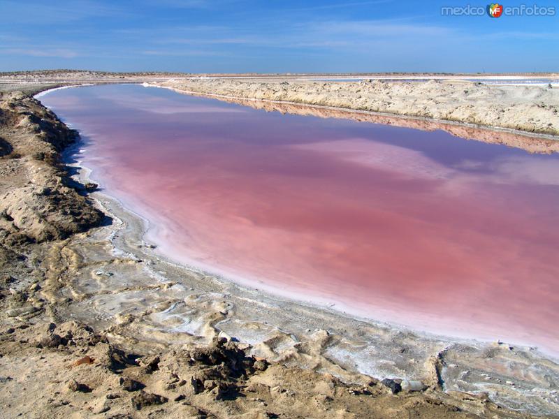 Fotos de Guerrero Negro, Baja California Sur: Salinas: Canales de transportación de agua marina