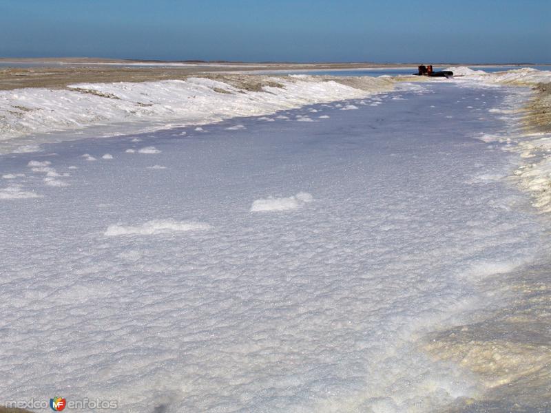 Fotos de Guerrero Negro, Baja California Sur: Salinas: Canales de transportación de agua marina