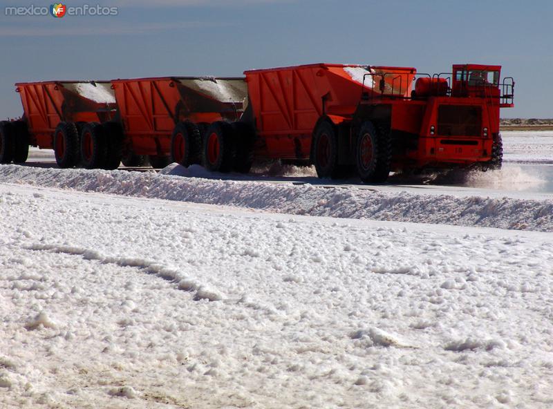 Fotos de Guerrero Negro, Baja California Sur: Salinas: Levantamiento de sal de los vasos salinificadores