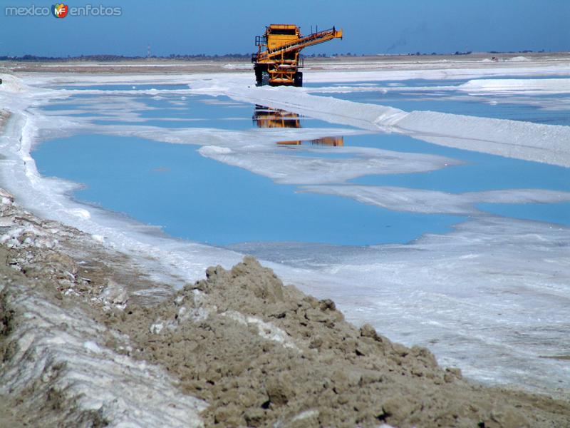 Fotos de Guerrero Negro, Baja California Sur: Salinas: Levantamiento de sal de los vasos salinificadores