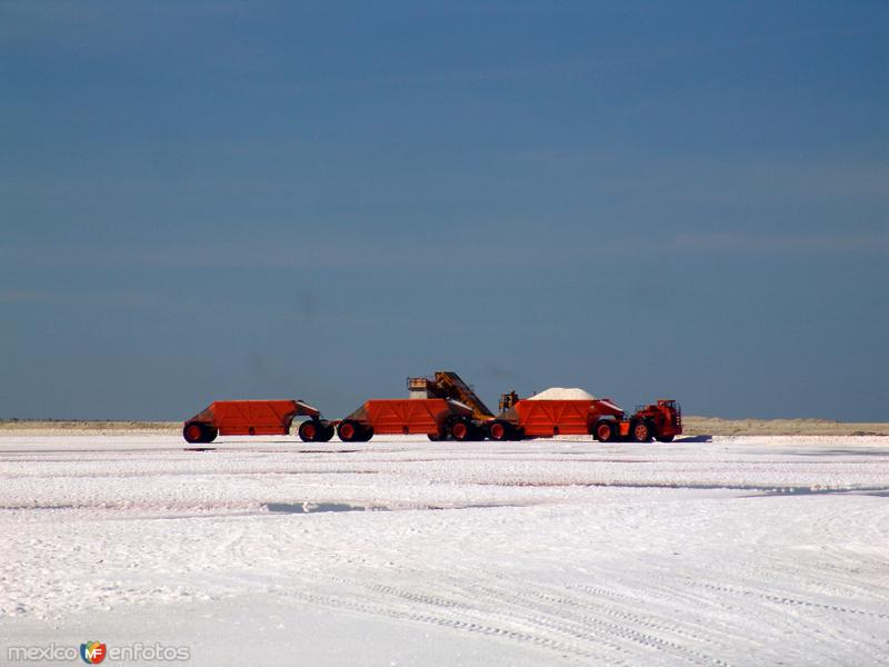 Fotos de Guerrero Negro, Baja California Sur: Salinas: Levantamiento de sal de los vasos salinificadores