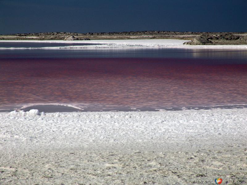 Fotos de Guerrero Negro, Baja California Sur: Salinas: Vasos de evaporación