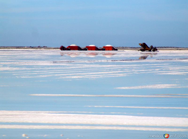 Fotos de Guerrero Negro, Baja California Sur: Salinas: Vasos de evaporación