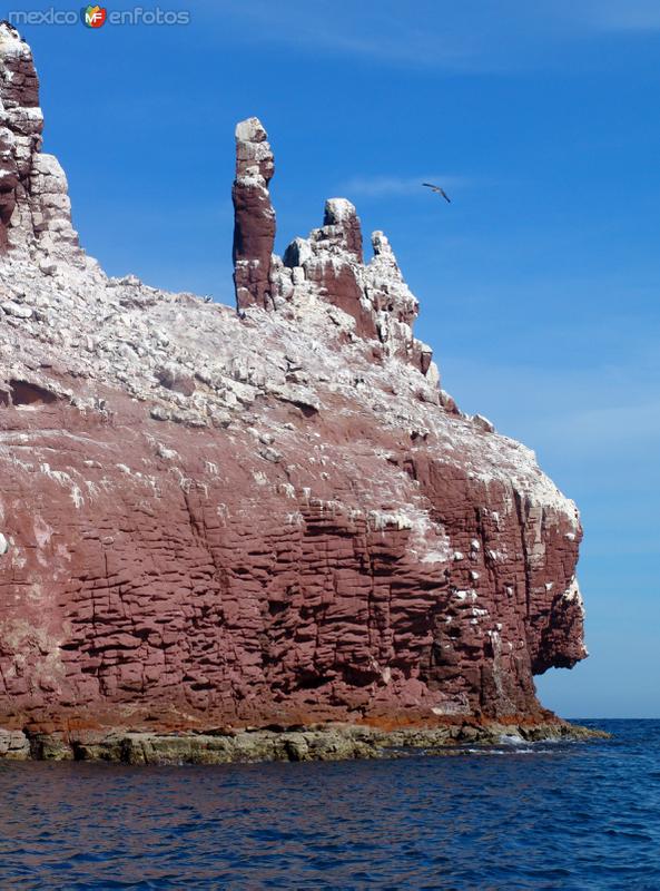 Fotos de Isla Espíritu Santo, Baja California Sur: Los Islotes