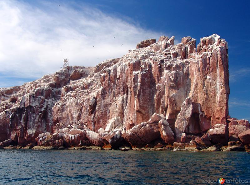 Fotos de Isla Espíritu Santo, Baja California Sur: Los Islotes