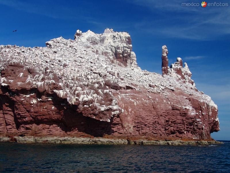 Fotos de Isla Espíritu Santo, Baja California Sur: Los Islotes