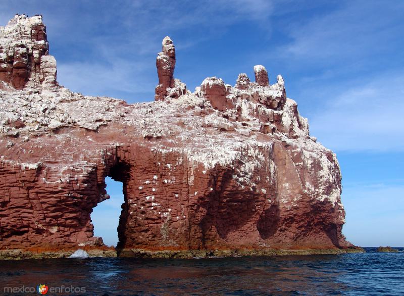 Fotos de Isla Espíritu Santo, Baja California Sur: Los Islotes