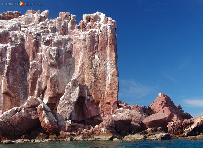 Fotos de Isla Espíritu Santo, Baja California Sur: Los Islotes