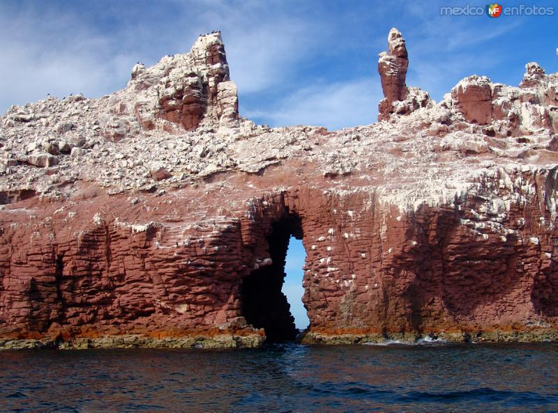 Fotos de Isla Espíritu Santo, Baja California Sur: Los Islotes