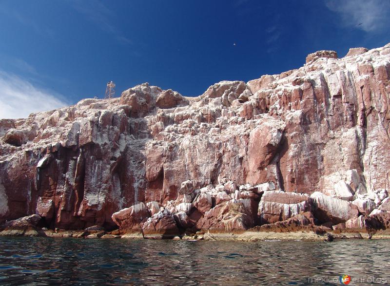 Fotos de Isla Espíritu Santo, Baja California Sur: Los Islotes