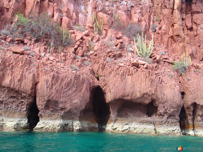 Fotos de Isla Espíritu Santo, Baja California Sur: Isla Espíritu Santo